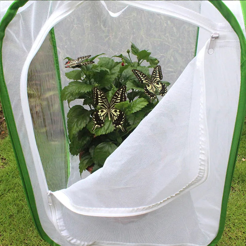 Foldable Insect Mesh Cage for Plants, Flowers & Butterflies