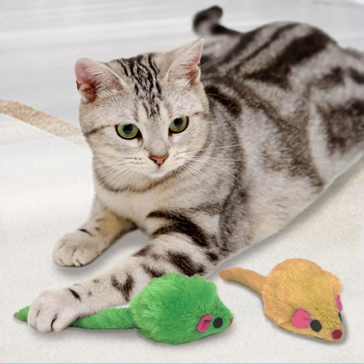 Interactive Plush Mouse Rattle Toy for Indoor Cats & Kittens