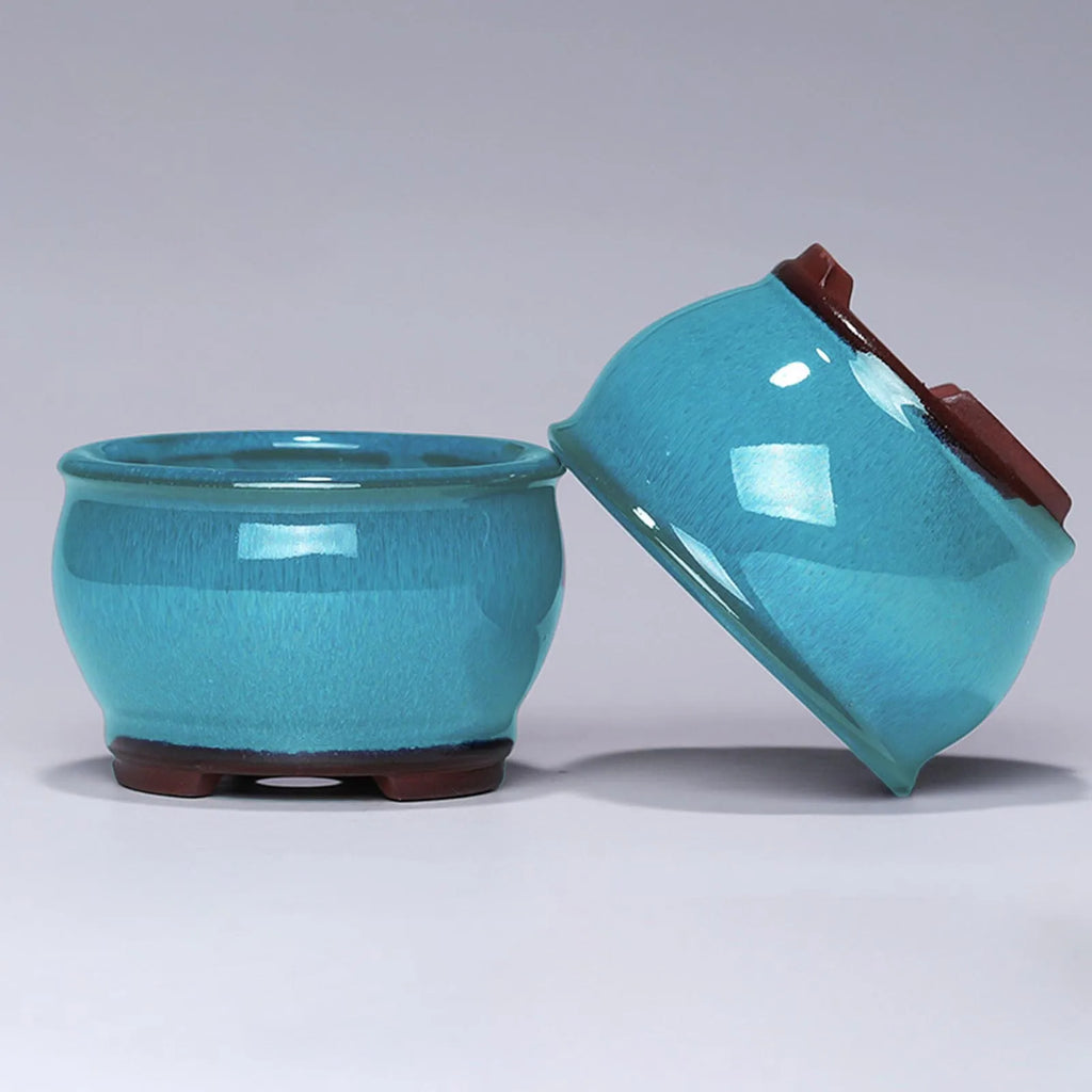 Ceramic Succulent Pot with Drainage Hole | Glazed Planter
