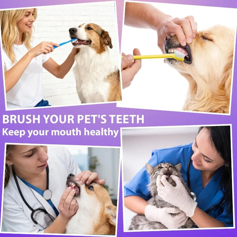 Dual-Headed Dog Toothbrush Set – Soft Nylon Bristles for Pets