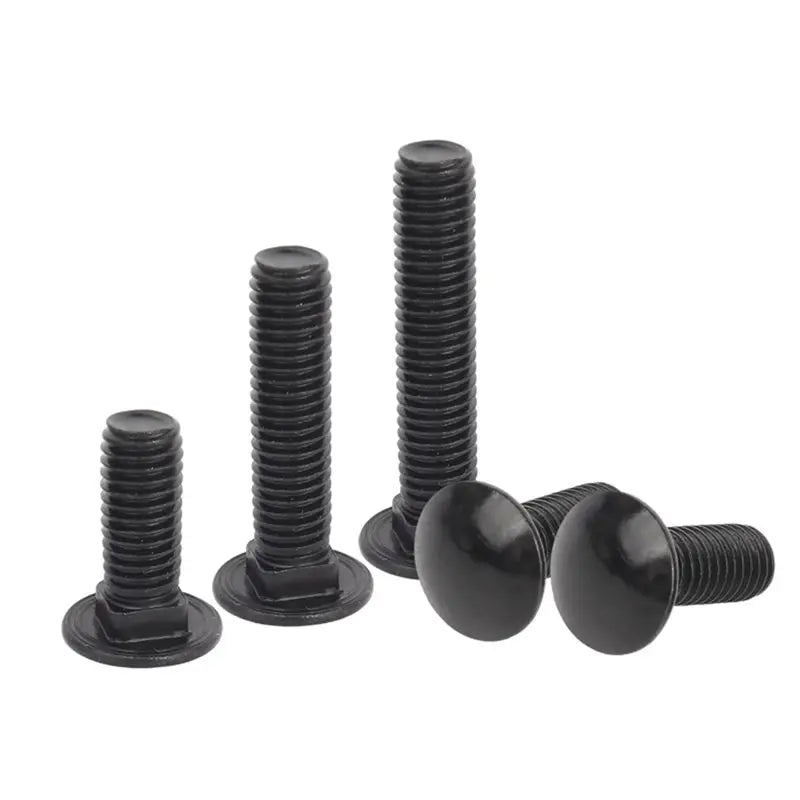 Black 304 Stainless Steel Carriage Bolts M5 M6 M8 – 20 Pack