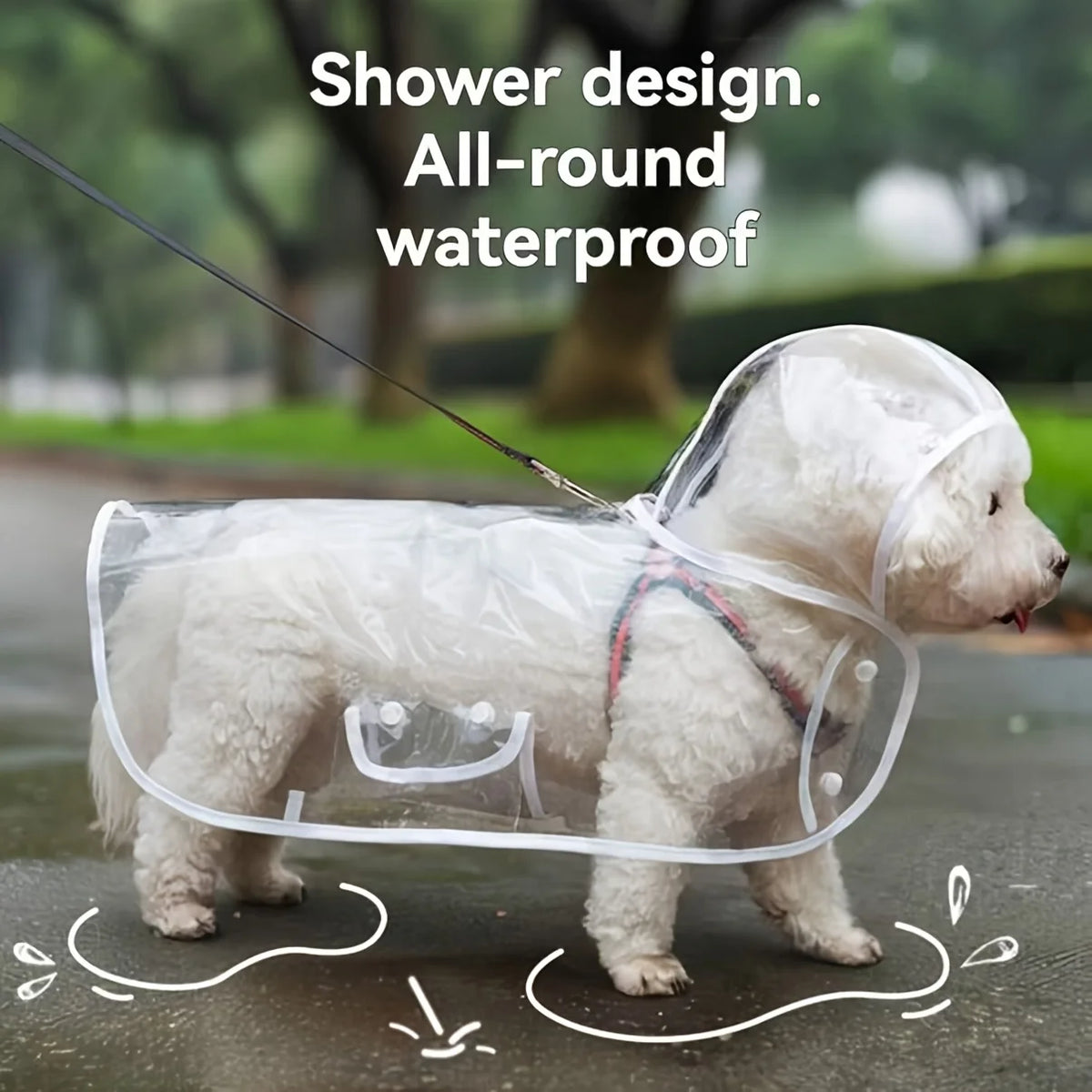 Transparent Button-Up Dog Raincoat for Small Breeds