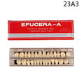 28-Pc Acrylic Resin Denture Teeth Set & 3D Shade Guide