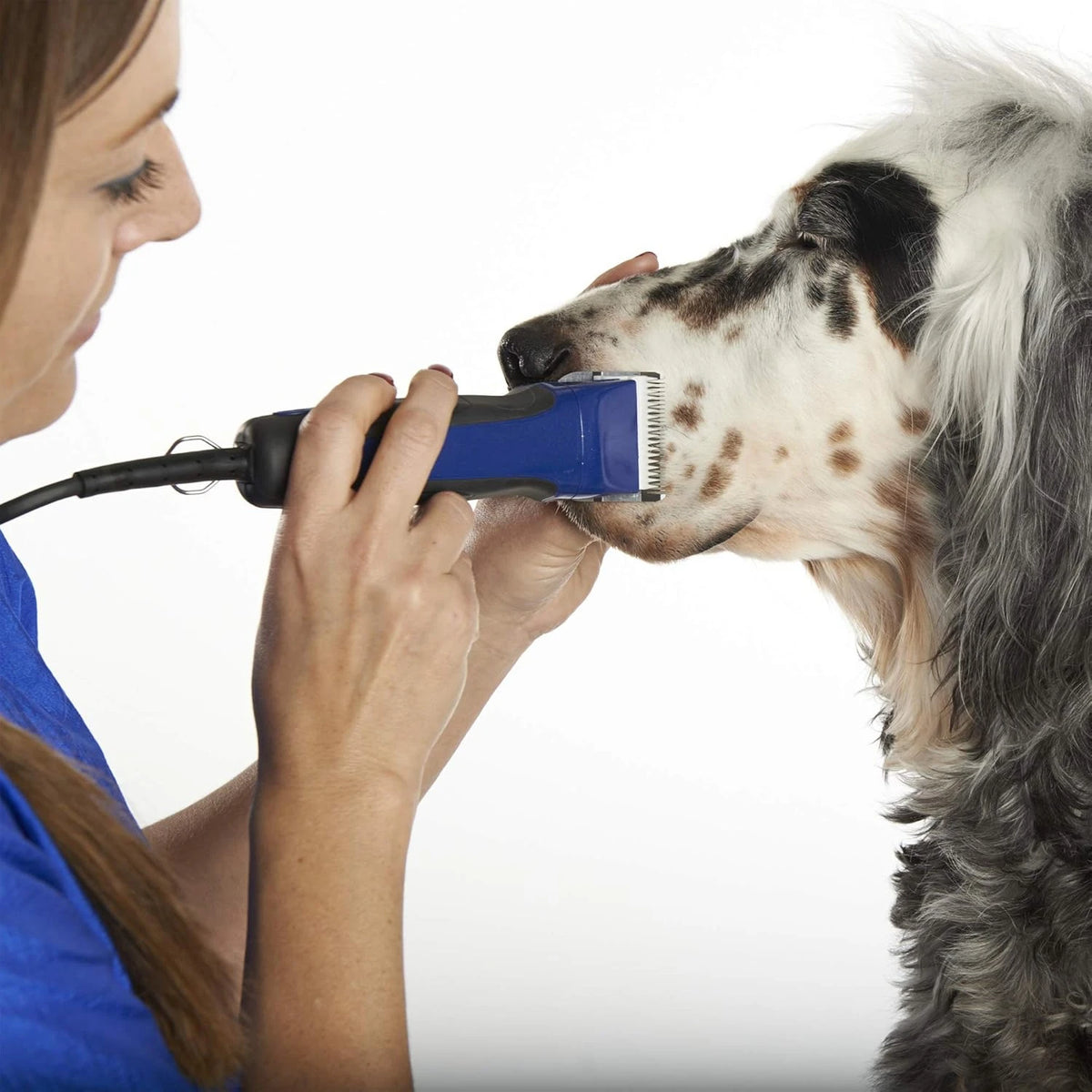 Professional Pet Clipper Blade – Fits Andis, Oster A5 & Wahl KM