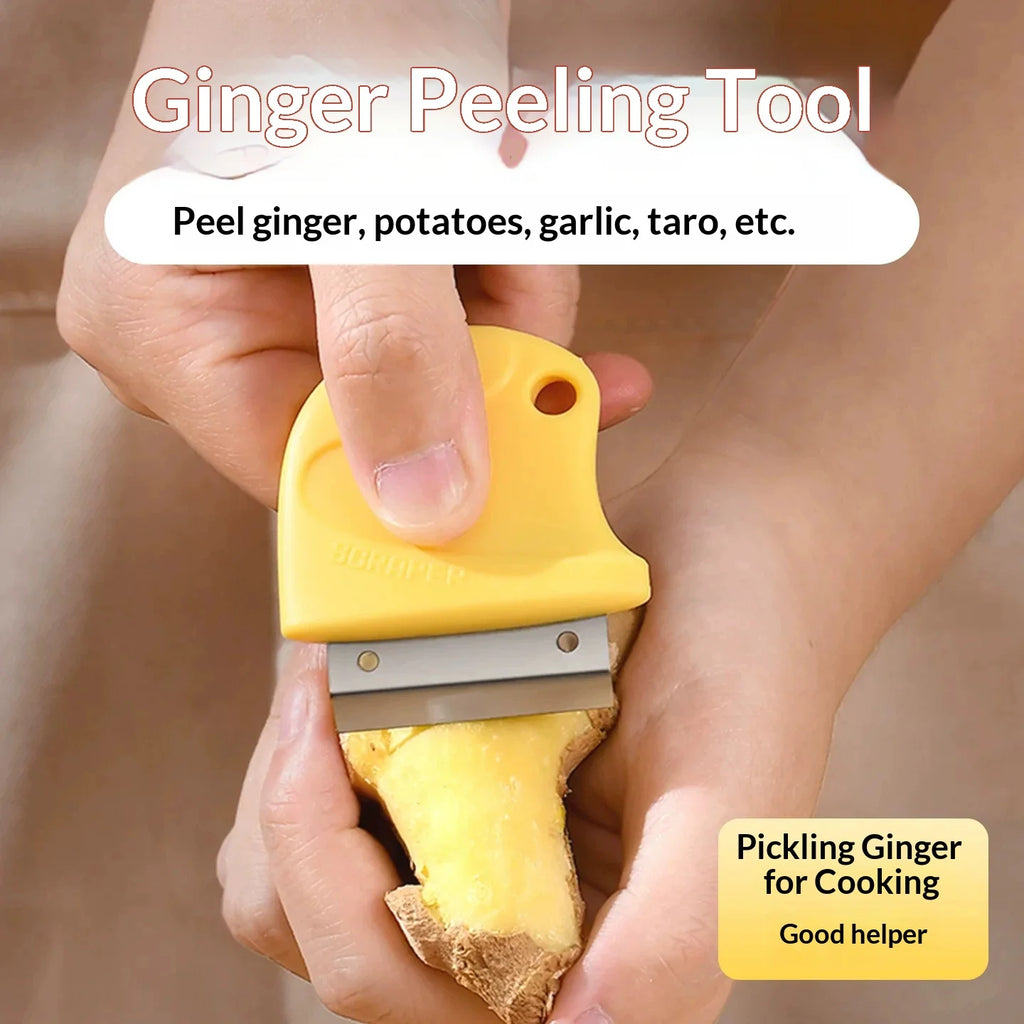 Mini Stainless Steel Ginger & Vegetable Peeler | Kitchen Tool