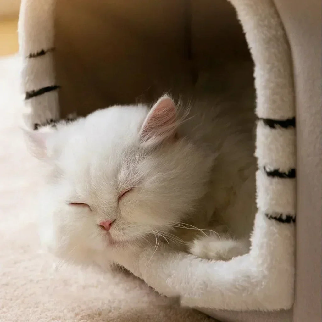 Foldable Pet Cave Bed – Warm Cotton Kennel for Dogs & Cats