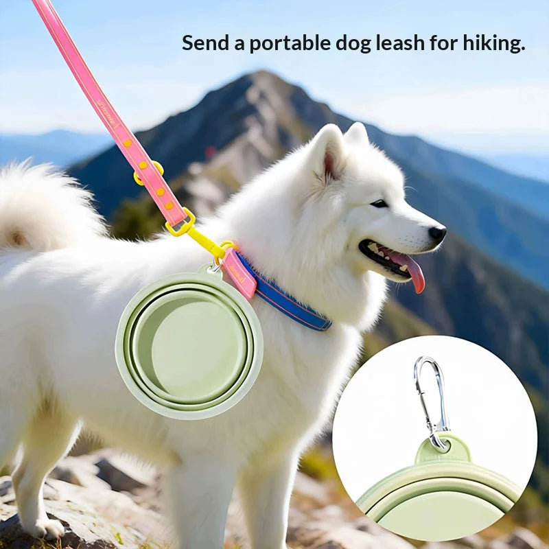 Portable Foldable Silicone Pet Bowl with Carabiner 150ml