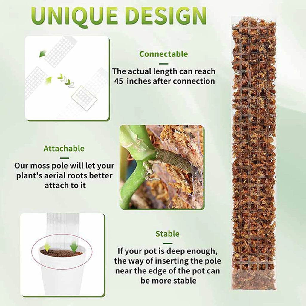 4-Pack Moss Poles for Monstera, Pothos & Climbing Plants