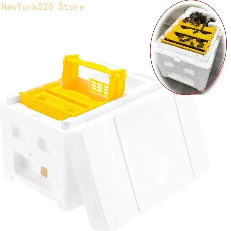 Foam & Plastic Queen Bee Mating Box – Beekeeping Tool
