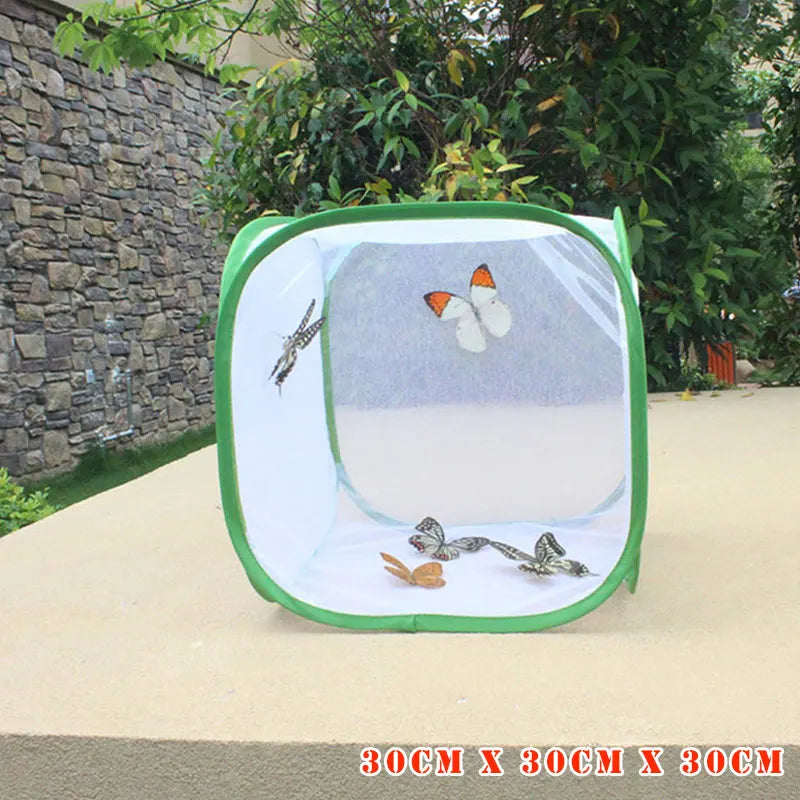 Foldable Insect Mesh Cage for Plants, Flowers & Butterflies